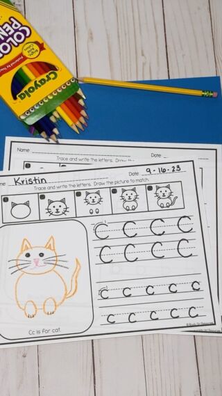 Summer Fine Motor Activities- Lacing Cards and Punch Cards - Rhody